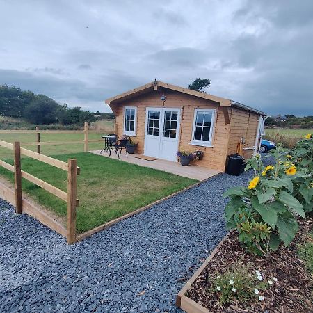 Bumble Bee Cabin Bootle  Buitenkant foto