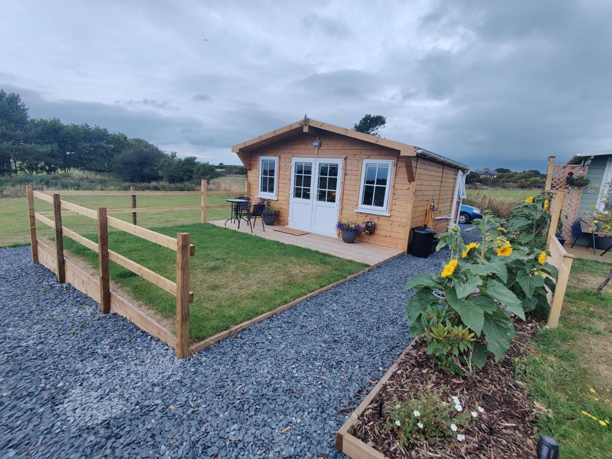 Bumble Bee Cabin Bootle  Buitenkant foto
