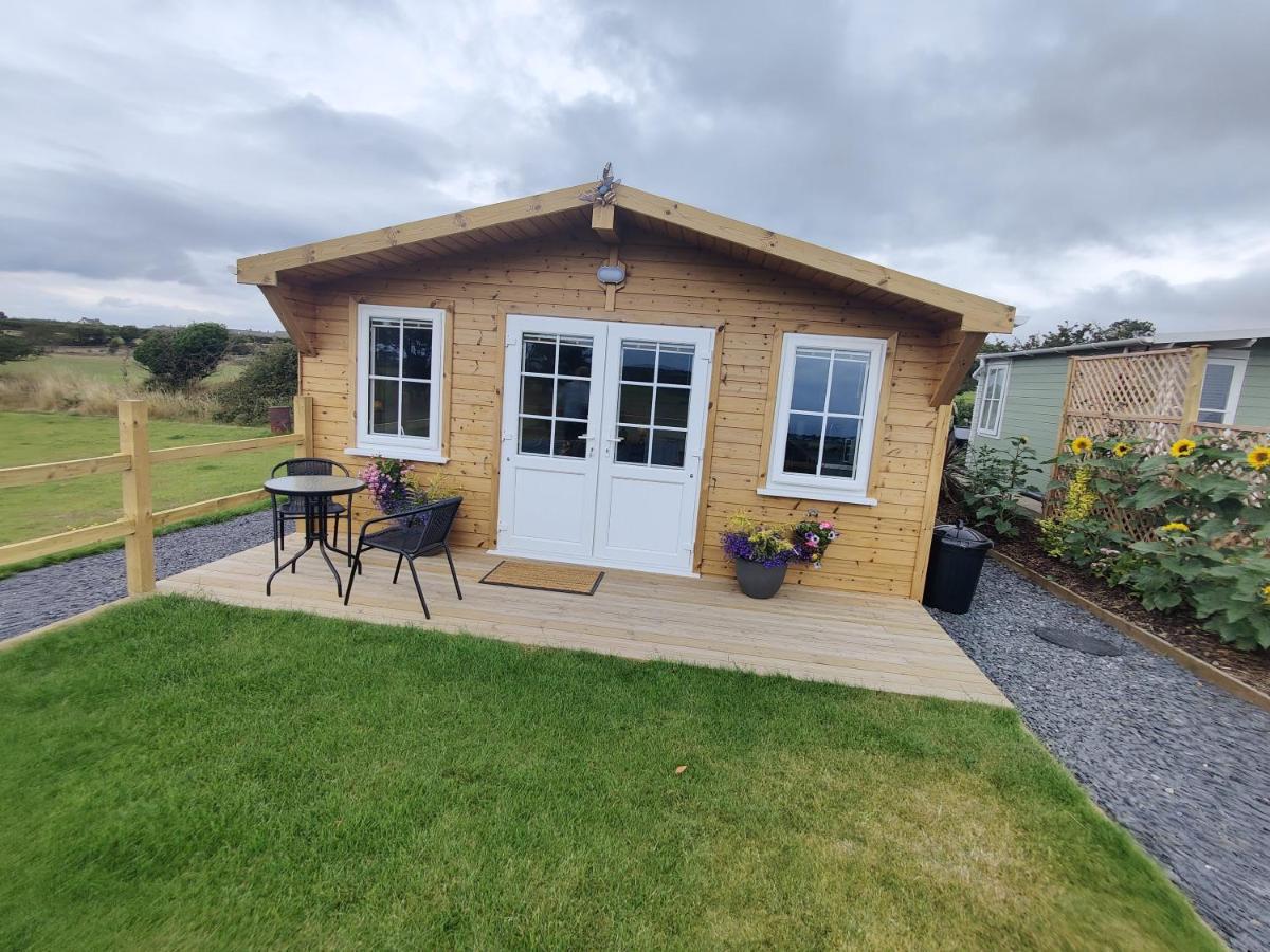 Bumble Bee Cabin Bootle  Buitenkant foto